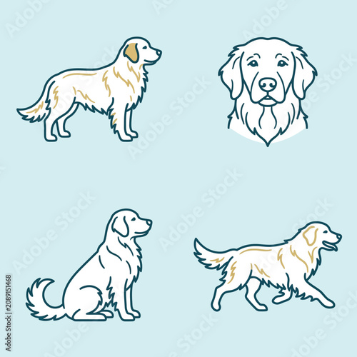 Minimalist vector illustrations of a golden retriever dog