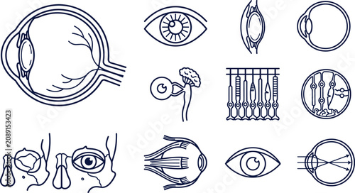 Schilderij op canvas Human Eye Anatomy Line Icon Set with Retina, Cornea, Iris, Lens, Optic Nerve, Vi