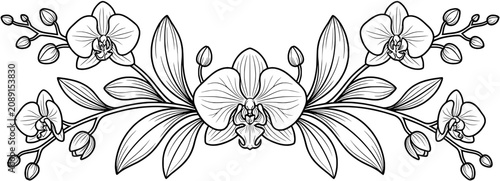 Black and white line art illustration of orchid flowers and leaves.