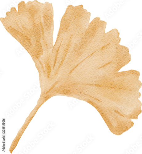 Watercolor Ginko Leaf Autumn Season