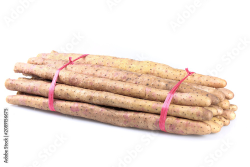Obraz na plátně Fresh Yams with Soil and Pink Twine Bundle