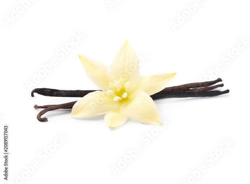 Vanilla stick with vanilla flower