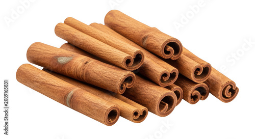 Freshly rolled cinnamon sticks bundle