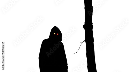 Photos Spooky dark silhouette figure lurking behind a tree isolated on transparent back