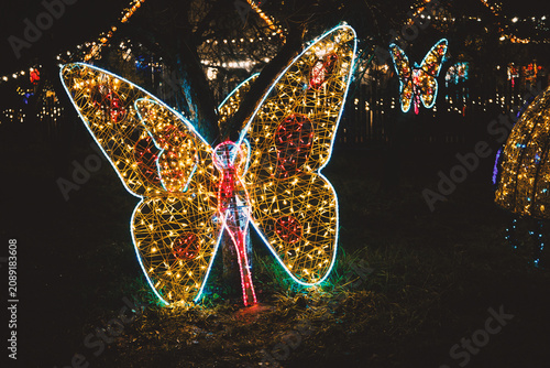 Fotografie Glowing butterfly light sculptures shine brightly in a dark garden at festive night celebration