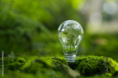 Sustainable Environment concept. ESG, green energy. Carbon emission low neutral, net zero, renewable energy, Green business,EV energy, Climate neutral long term strategy on a green background.
