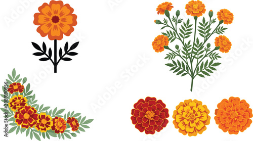 Mexican marigold flowers vector set with orange cempasuchil blossoms festival floral garland and tagetes flower head elements for day of the dead