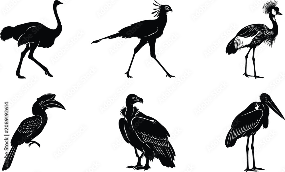 Fototapeta premium Black Silhouette African Bird Icon Set Featuring Ostrich Secretary Bird Crested Crane Hornbill Vulture and Marabou Stork for Safari Wildlife Nature Designs