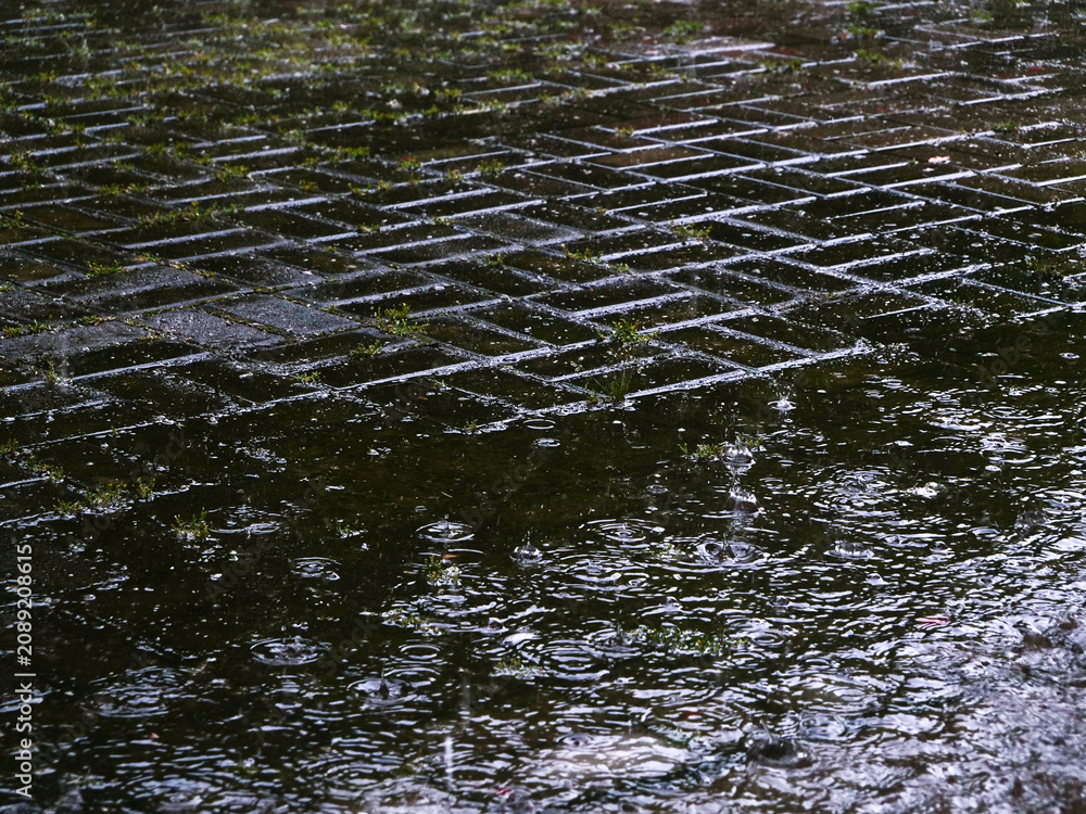 Fototapeta premium Raindrops and ripples on wet cobblestone street pavement during storm