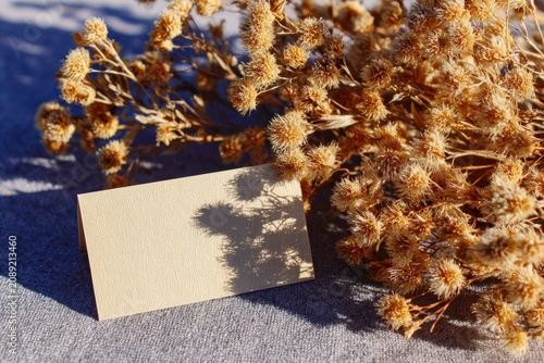Blank natural kraft card with dried flower shadow on textured surface