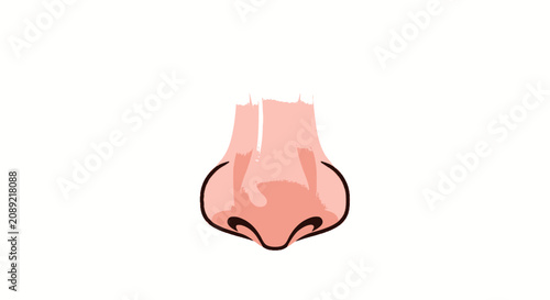 Foto Cartoon illustration of a pink human nose.