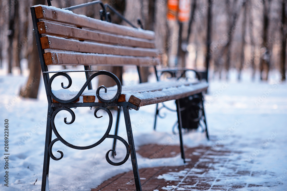 Naklejka premium park bench on a winter alley at snowfall. bench with snow after snowstorm or in snow calamity in europe