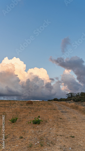 Vertical rural landscape with dry field, hay bales and towering evening clouds.