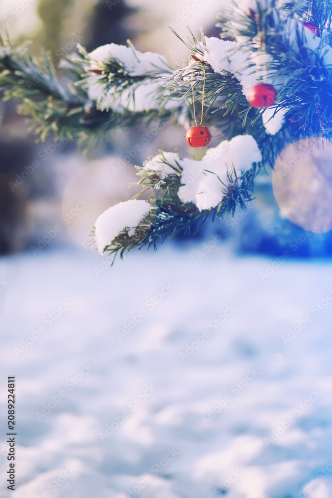 Fototapeta premium Red Christmas bell hangs on a snow-covered branch of a Christmas tree against a festive background of white snow. Christmas tree with decoration under snow
