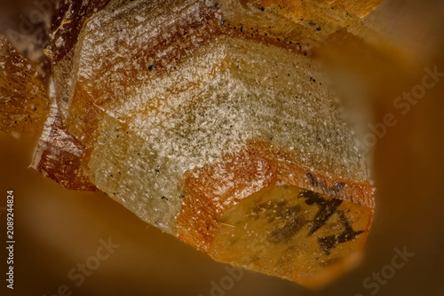 Bild auf Leinwand Microscope macro photography of quintinite crystal face microtopography via 10x objective