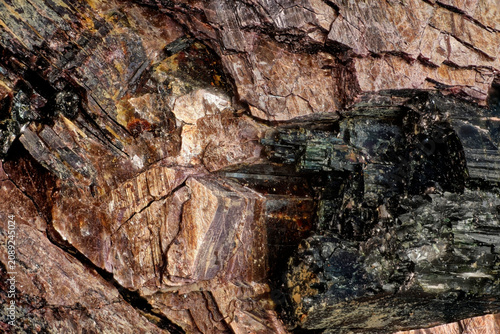 Microscopic view of lamprophyllite and aegirine mineral crystals texture from Khibiny close up of raw alkaline pegmatite geological structure macro photography sample under 5x microscope lens