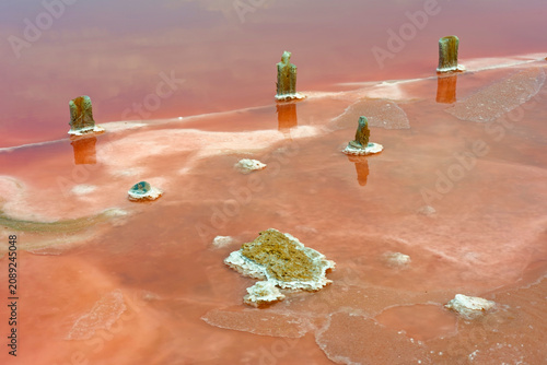 Принти на полотні Arid geomorphology and soil salinization study in Crimea, wide view of halite sa