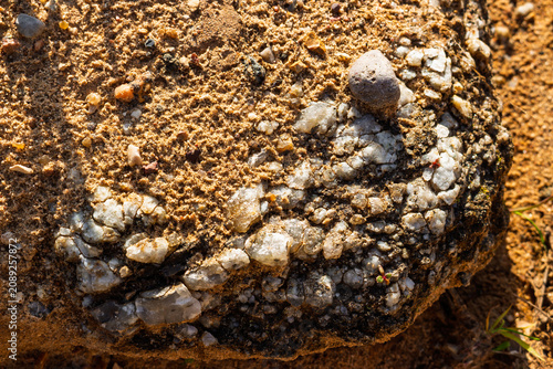 Fotografie Weathered pegmatite rock featuring fractured white quartz veins embedded in a te