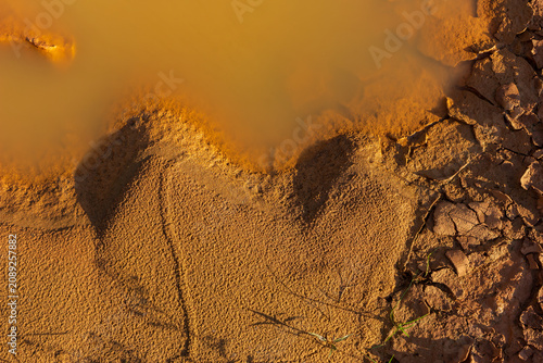 Canvastavla Muddy pond with turbid orange water against cracked parched clay soil, creating