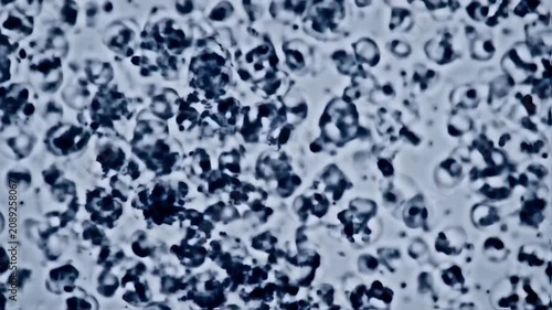 Microscopic abstract pattern