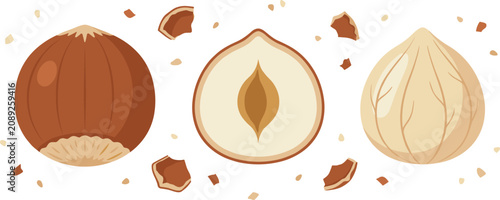 Tableau sur toile Isolated hazelnut cartoon vector illustration elements displaying whole unshelle