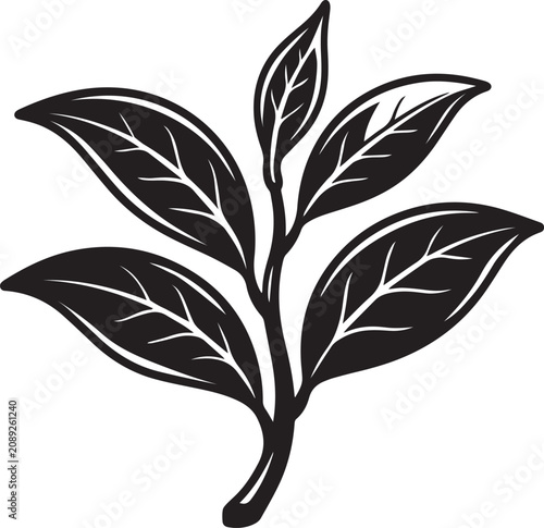 Minimalist Black and White Tea Leaf Vector Illustration