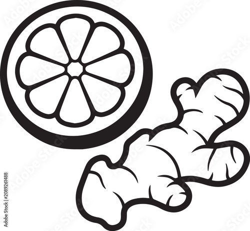 Lemon Slice and Ginger Root Vector Illustration Design