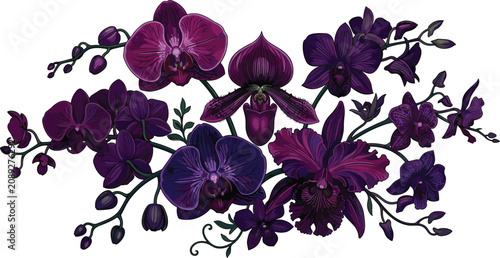 Bild auf Leinwand Elegant Purple Orchid Flower Arrangement with Exotic Tropical Blooms, Botanical