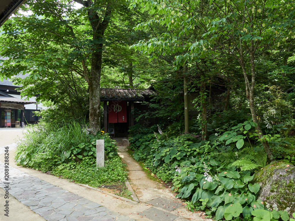 Fototapeta premium 夏の観光名所平湯温泉の平湯民俗館の女性露天風呂の風景