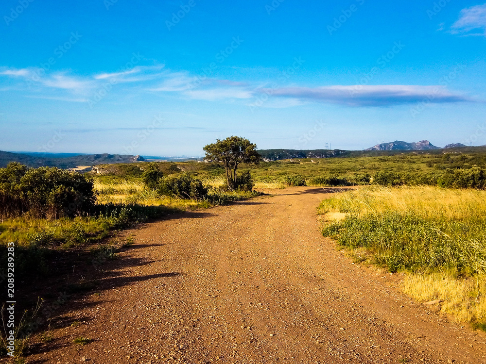 Fototapeta premium Magnificent landscape with a dirt road for hikers or mountain bikers that crosses the nature of Provence at the Orgon plateau