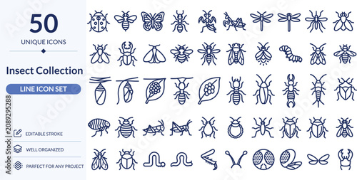 Insect Collection Line Icons, 50 Editable Stroke Vector Icons for Bugs, Entomology and Wildlife