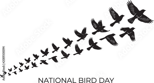Obraz na plátne Flock of birds flying in formation against a white background vector silhouette