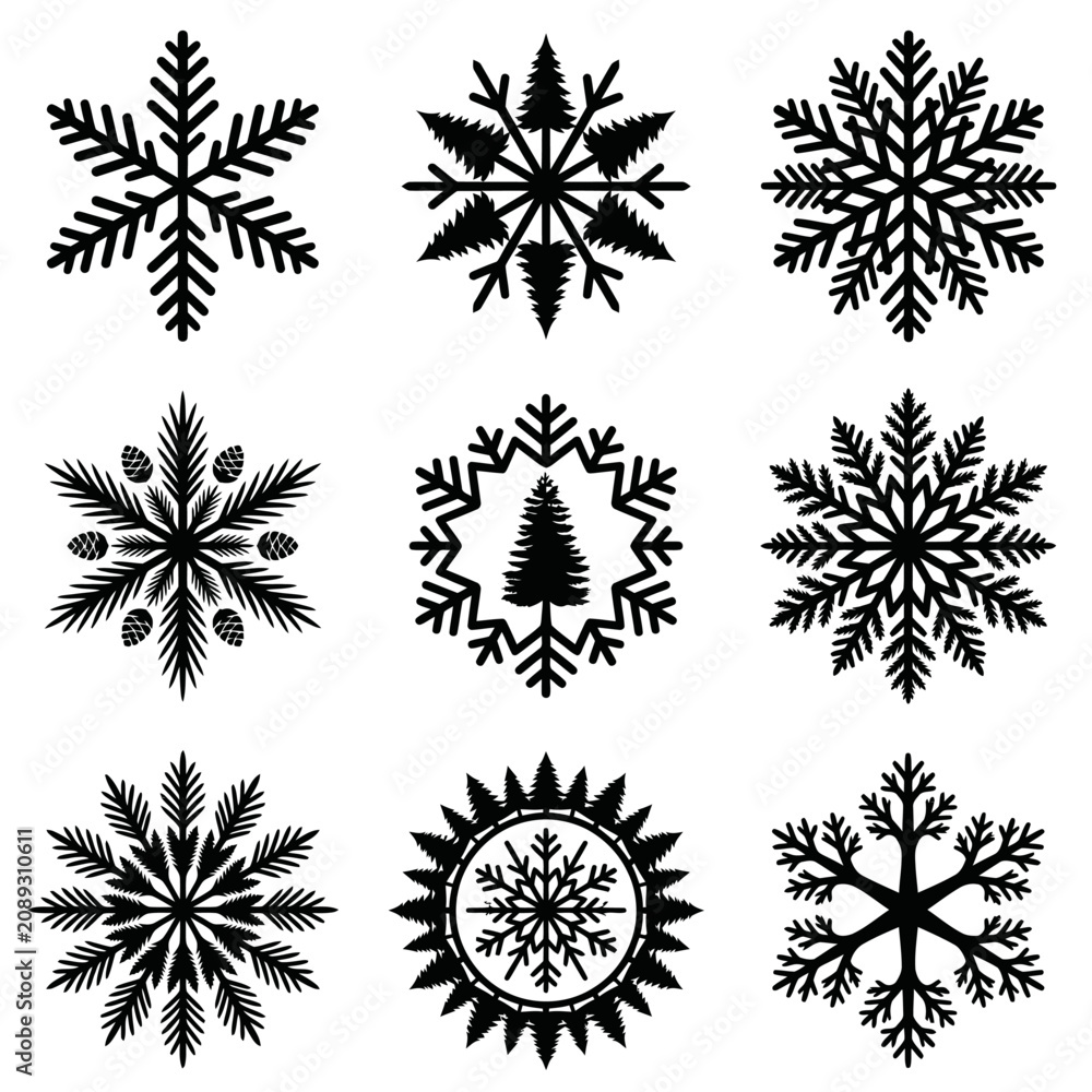 Obraz premium Collection of unique snowflake designs.