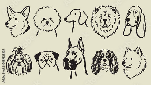 Quadro su tela Dog breed illustration collection with corgi bichon greyhound chow chow basset s