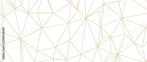 Elegant minimalist gold geo...