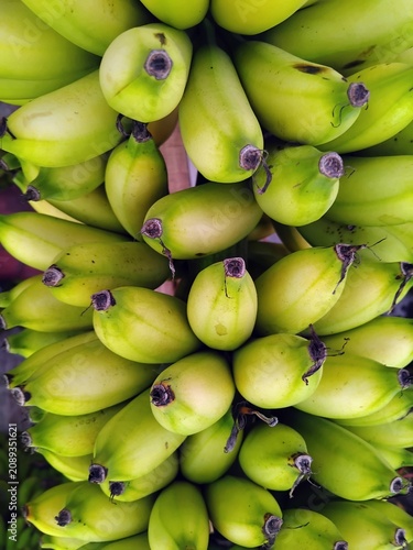 Obraz na plátně Close Up of Raja Banana Bunch Hanging at Traditional Fruit Shop