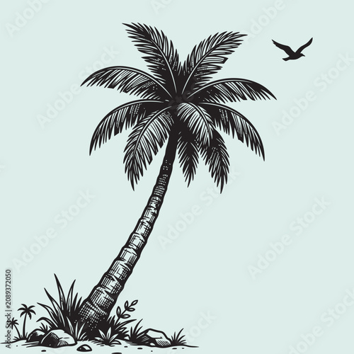 Hand Drawn Vintage Palm Tree Tropical Landscape Illustration