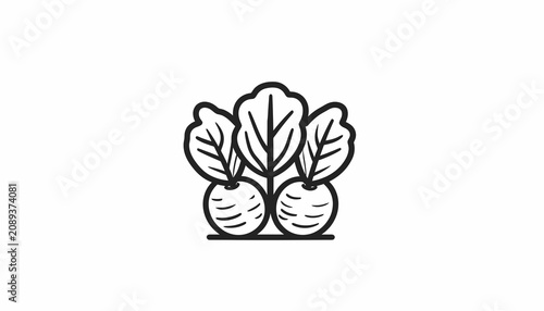 Foto Turnip Vegetable Illustration Line Art.