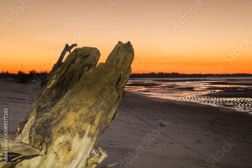 The afternoon grows later at Pasir Putih Beach, when suddenly the sky radiates a golden-yellow hue, reflected in the remaining seawater as the tide recedes near the savanna of Sumba