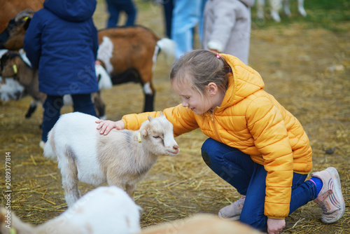 Young girl feeding goats in a farm animal enclosure, illustrating childhood, animal interaction, outdoor learning, and family leisure