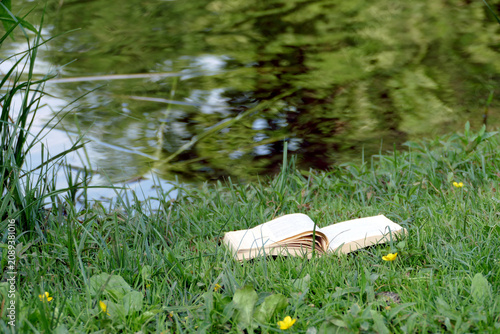 Cuadro en lienzo Libro dimenticato sull'erba in riva al fiume