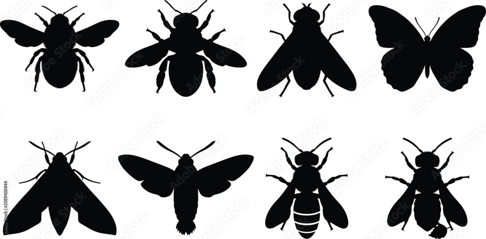 Fototapeta premium Insect Silhouette Collection Featuring Bees Butterflies Moths and Flying Pollinators