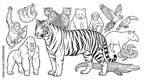 Photography Jungle animals line art collection, wild tropical wildlife vector set, black and