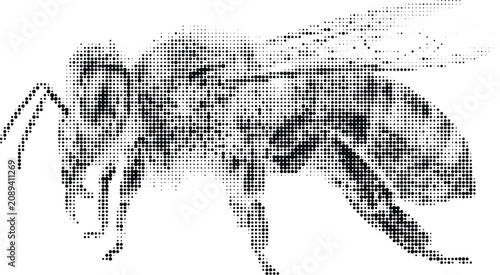 Tableau sur toile Wasp halftone vector graphic in profile view created with black ink dots on transparent background isolated stylized stinging insect design element