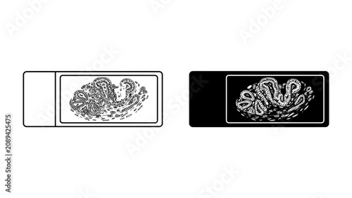 Bild auf Leinwand Microscope Slide Set: Two microscope slides, one with a detailed illustration of cells or tissue, the other blank, representing scientific research and observation