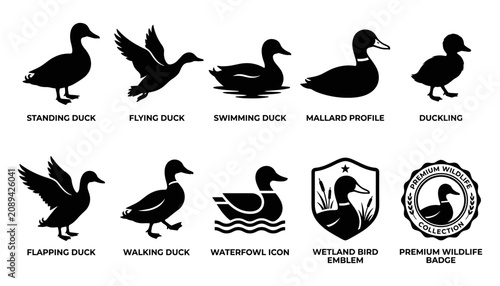 Duck Icon Set with Standing, Flying, Swimming, Walking Silhouettes, Waterfowl Profile, and Wildlife Badge Emblems