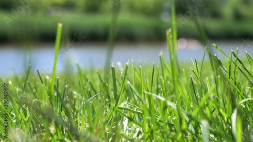 Fresh green grass blades stand sharply focused against a deeply blurred blue river. Concept of peaceful summer vacations, calm natural beauty, and relaxing outdoor travel.