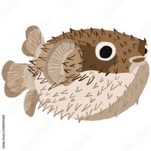 Cute Pufferfish Arothron Hispidus Cartoon Illustration in Hand Drawn Flat Style