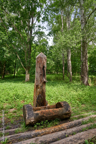 Fotografía fontanella