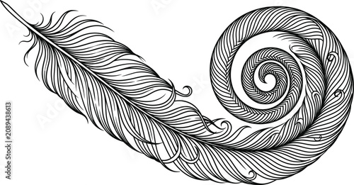 Bild auf Leinwand Vintage feather quill illustration, elegant black and white bird feather vector,